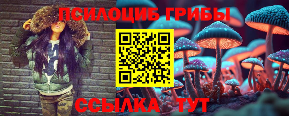 Галлюциногенные грибы Psilocybe Ипатово