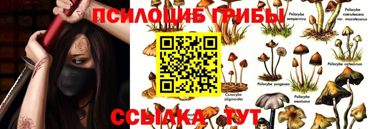 Галлюциногенные грибы мицелий  Вход с VPN  Псилоцибиновые грибы мухоморы  Ипатово 